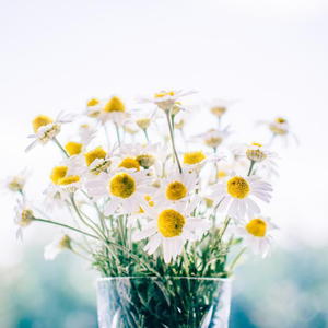 Japan白嫩丰满HD护士亨利冢本昭
